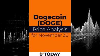 تحليل سعر عملة دوجكوين (DOGE) في 30 نوفمبر