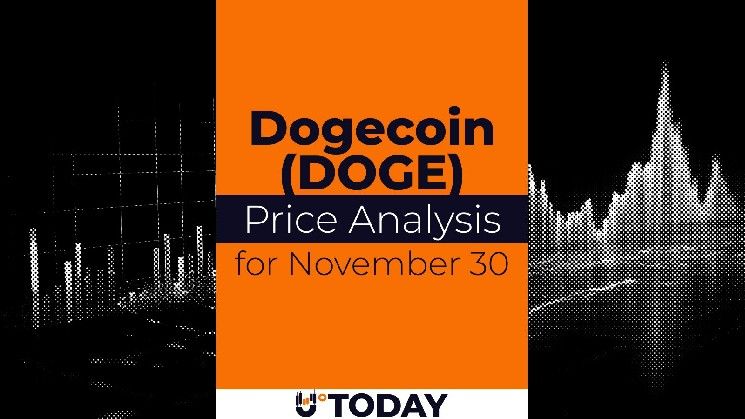 تحليل سعر عملة دوجكوين (DOGE) في 30 نوفمبر