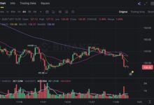 سولانا تدخل منطقة هبوط: الخسائر المتحققة تتجاوز الأرباح الآن