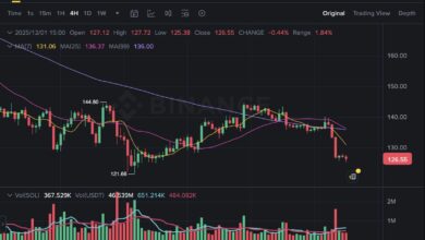 سولانا تدخل منطقة هبوط: الخسائر المتحققة تتجاوز الأرباح الآن