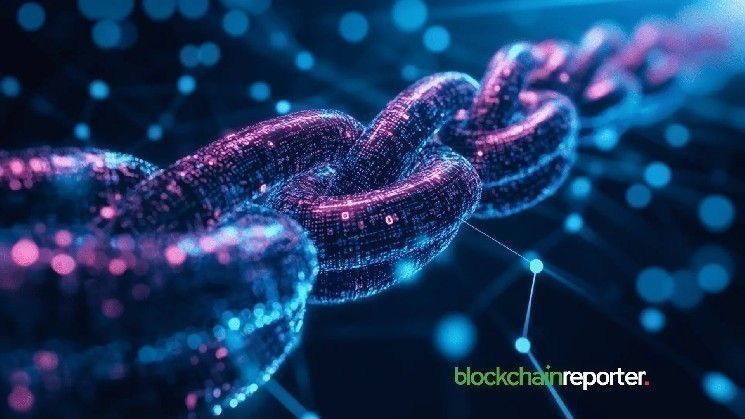 بروتوكول روتر تعلن شراكة مع إيفركليير لتحسين السيولة عبر السلاسل في شبكات البلوكشين