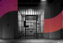 حكم على مُروِّج مخطط بونزي إيكوم تك الرقمي بالسجن قرابة ستة أعوام