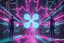 محللون كنديون يتوقعون زيادة اعتماد الريبل (XRP) في قطاع التكنولوجيا المالية