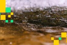 انهيار بيتكوين وأسهم الذكاء الاصطناعي يمحق أكثر من 500 مليون دولار من المراهنات الصعودية