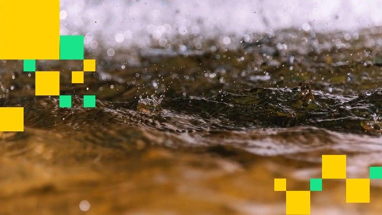 انهيار بيتكوين وأسهم الذكاء الاصطناعي يمحق أكثر من 500 مليون دولار من المراهنات الصعودية