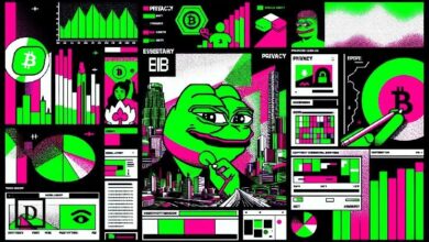 مفوضة هيئة الأوراق المالية الأمريكية بييرس وخبراء العملات الرقمية: الخصوصية هي مفتاح اعتماد العملات المشفرة