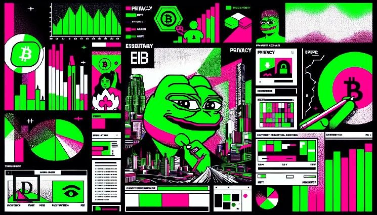 مفوضة هيئة الأوراق المالية الأمريكية بييرس وخبراء العملات الرقمية: الخصوصية هي مفتاح اعتماد العملات المشفرة