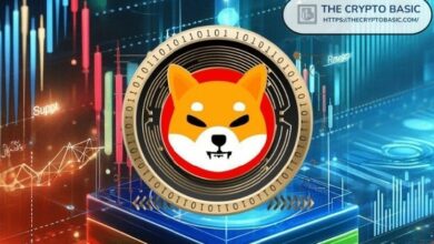 أبرز مطور في شبا إينو يرد على إعلان مدير هندسة SHIB مغادرته