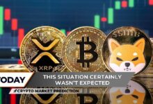 توقعات سوق العملات الرقمية: نشاط إكس آر بي الأسطوري يقفز 1100%، إعدادات صعود البيتكوين تتعزز، نافذة انعكاس حادة لشيبا إينو (SHIB)