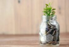 انسِ البيتكوين: الأثرياء يتجهون بسرعة لشراء XRP وفقًا لرئيس الشركة