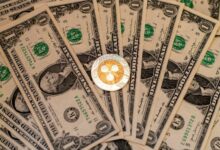 صناديق XRP المتداولة في البورصة تواصل جذب التدفقات النقدية لمدة 30 يوماً متتالية في انفصال عن أداء بيتكوين وإيثيريوم