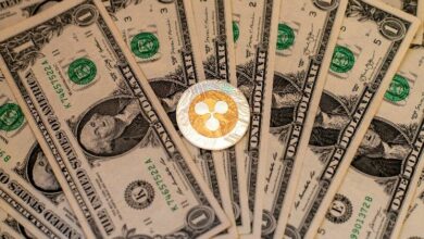 صناديق XRP المتداولة في البورصة تواصل جذب التدفقات النقدية لمدة 30 يوماً متتالية في انفصال عن أداء بيتكوين وإيثيريوم