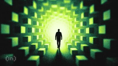 المحطة التالية: مستقبل متعدد السلاسل (أومني تشين)