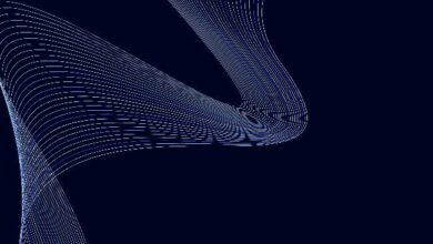 شبكة رايز تقدم بطاقات ذكية جديدة على سولانا