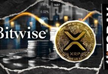 صندوق Bitwise للريبل القابل للتداول في البورصة يحقق المركز الأول مع اقتراب أصوله من معلم المليار دولار