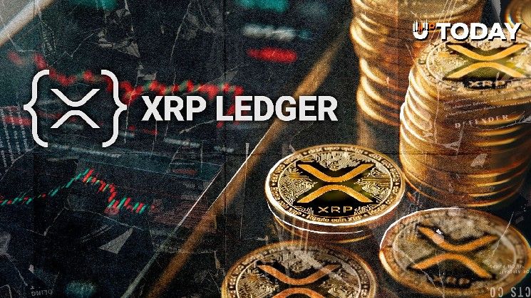 أكثر من 40 ألف معاملة غريبة لـ XRP تظهر فجأة: ما السبب؟