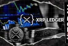 ارتفاع أساسي بنسبة 30% في شبكة XRP: رصد أكثر من 200,000 عملية دفع على دفتر الأستاذ