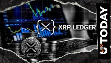 ارتفاع أساسي بنسبة 30% في شبكة XRP: رصد أكثر من 200,000 عملية دفع على دفتر الأستاذ