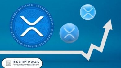 خبير يكشف عن المستوى الحقيقي المتوقع لدورة الارتفاعات القياسية لـ XRP