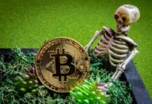 أستاذ اقتصاد بارز يحذر: "البتكوين يفتقد القيمة الأساسية تمامًا"