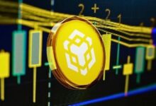 أزمة في BNC: 10X Capital تخطط للتخلي عن خزانة BNB لصالح أصول مثل سولانا