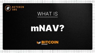 ما هو صافي قيمة الأصول المعدلة؟ دليل المستثمر لتقييم خزائن البيتكوين