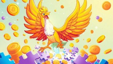 عودة مثيرة للجدل: الشريك المؤسس لـ "موفمنت" يطلق صندوقًا للعملات الرقمية بقيمة 100 مليون دولار