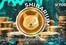 إعادة ضبط شبكة شيباريوم؟ مستكشف SHIB يكشف هذا السيناريو المحتمل