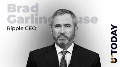 رئيس ريبل: المستثمرون يبدأون في إدراك أهمية العملات المستقرة