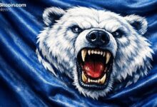 إحباط علم الدب: انتعاش البيتكوين يفتقر إلى القوة الدافعة