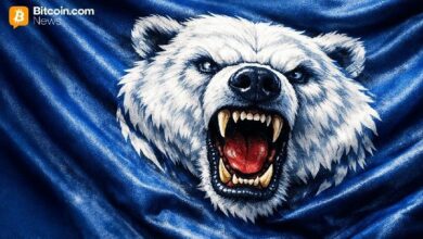 إحباط علم الدب: انتعاش البيتكوين يفتقر إلى القوة الدافعة