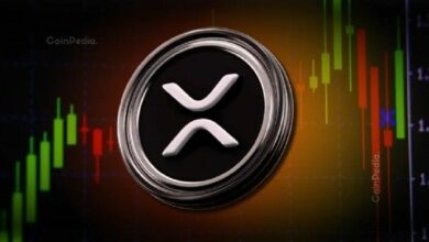 سعر XRP يستعد لتحرك كبير مع هبوط أرصدة البورصات 45%