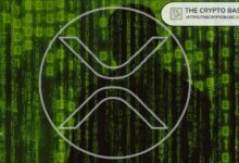 مضيف بودكاست ترايدنت يفقد محفظة XRP بالكامل: التفاصيل الكاملة