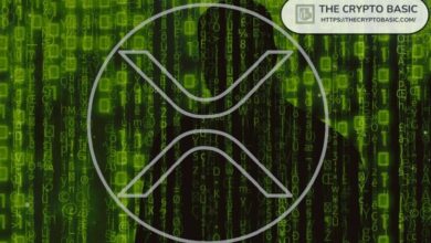 مضيف بودكاست ترايدنت يفقد محفظة XRP بالكامل: التفاصيل الكاملة