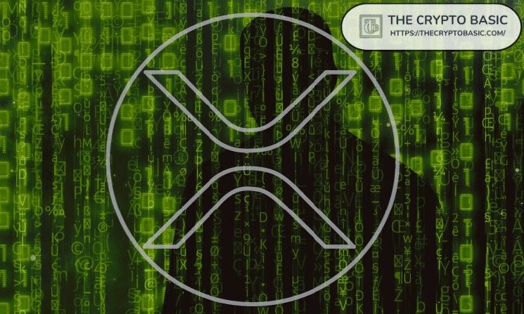 مضيف بودكاست ترايدنت يفقد محفظة XRP بالكامل: التفاصيل الكاملة