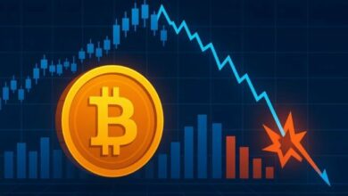 هيمنة التصفيات على البيتكوين تبلغ أعلى مستوى في سنوات: السبب الحقيقي وراء انهيار BTC