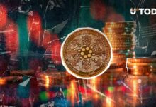 خروج 132,406,417 عملة ADA من البورصات في 24 ساعة: إشارة صعود للسوق؟