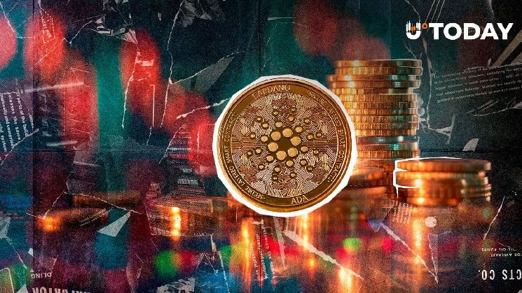 خروج 132,406,417 عملة ADA من البورصات في 24 ساعة: إشارة صعود للسوق؟