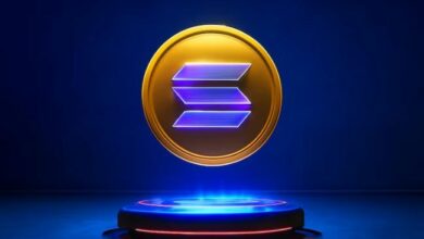 قيمة سولانا تتجاوز التقنية إلى البنية التحتية الاقتصادية
