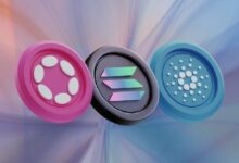 كاردانو ضد سولانا ضد بولكادوت: مقارنة شاملة بين منصات الطبقة الأولى