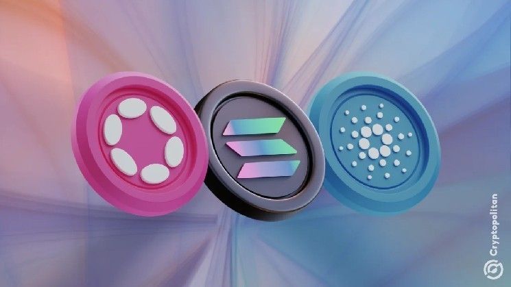 كاردانو ضد سولانا ضد بولكادوت: مقارنة شاملة بين منصات الطبقة الأولى