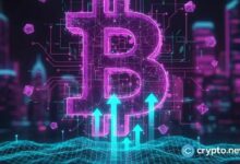 هيكل سوق بيتكوين يتعزز رغم انخفاض أحجام التداول