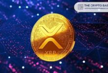 خبير: امتلاك أكثر من 10,000 XRP يعني أنك على المسار الصحيح