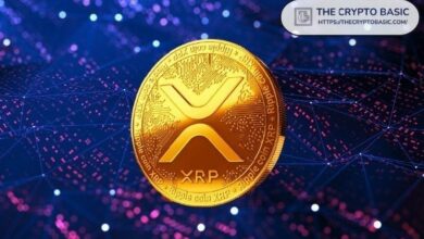 خبير: امتلاك أكثر من 10,000 XRP يعني أنك على المسار الصحيح