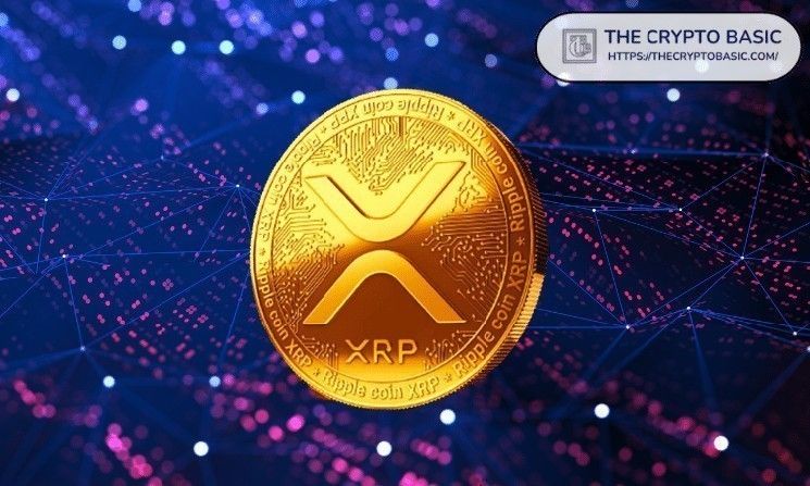 خبير: امتلاك أكثر من 10,000 XRP يعني أنك على المسار الصحيح
