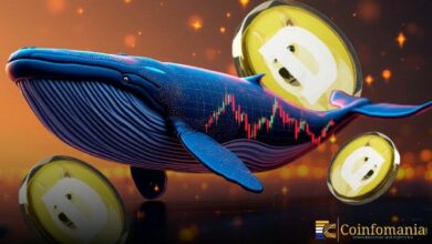 تصفية محفظة حوت دوجكوين بخسارة 2.7 مليون دولار خلال الانهيار السوقي