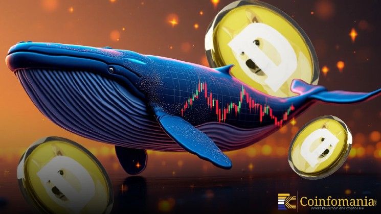 تصفية محفظة حوت دوجكوين بخسارة 2.7 مليون دولار خلال الانهيار السوقي