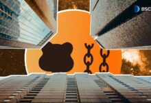 ما الذي يمكن توقعه من بيراشين في 2026: "بناء الأعمال على سلسلة بيرا"