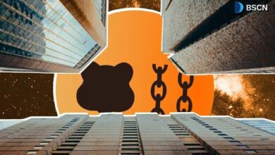 ما الذي يمكن توقعه من بيراشين في 2026: "بناء الأعمال على سلسلة بيرا"