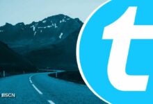 متى سيطلق شبكة تيلكوين شبكتها الرئيسية؟ شرح الحالة الحالية وخارطة الطريق